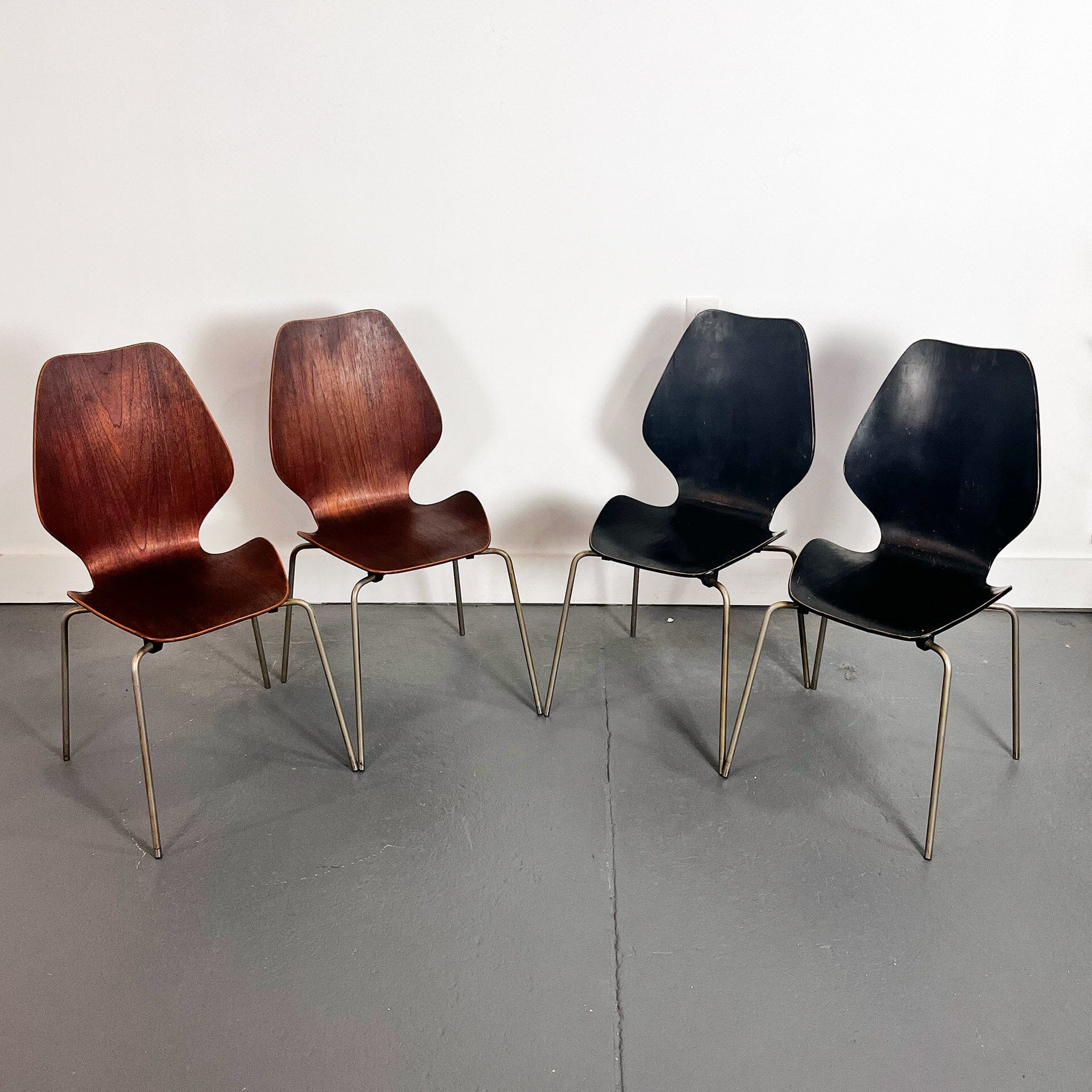 Set of 4 Bent Plywood 