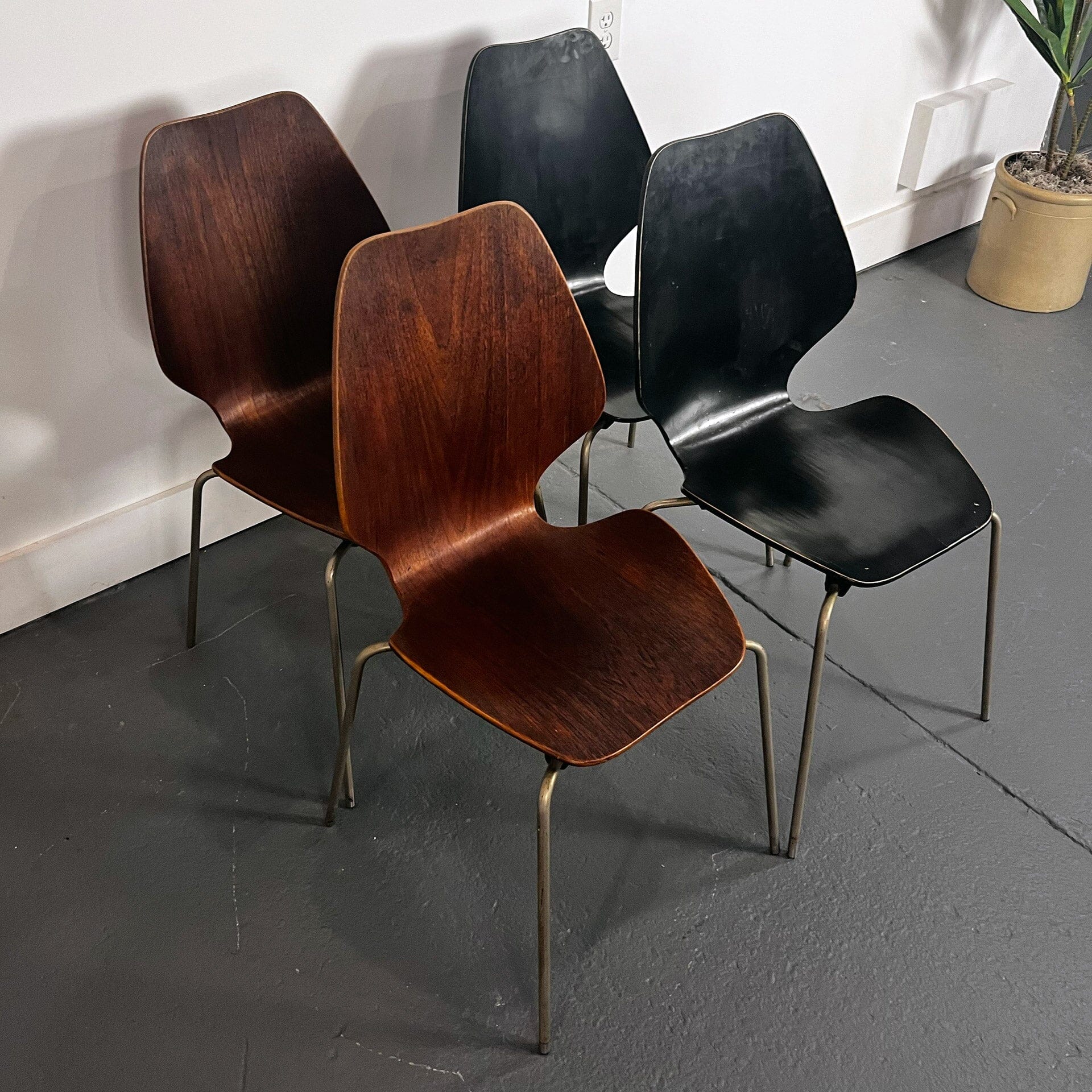 Set of 4 Bent Plywood 